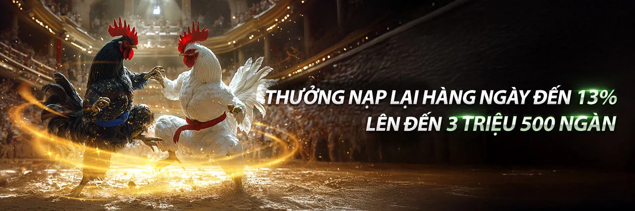 Đá Gà Trực Tuyến 555win55