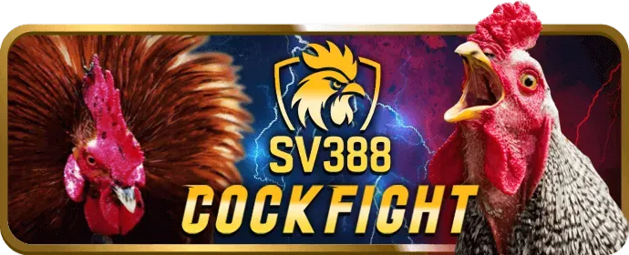 Hướng dẫn đăng ký tài khoản 555win55